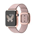 38mm 18-Karat Rose Gold Case with Rose Gray Modern Buckle