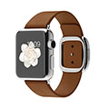 38mm Stainless Steel Case with Brown Modern Buckle