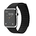 42mm Stainless Steel Case with Black Leather Loop