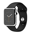 42mm Stainless Steel Case with Black Sport Band