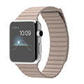 42mm Stainless Steel Case with Stone Leather Loop