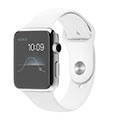 42mm Stainless Steel Case with White Sport Band